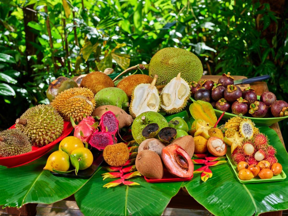 Bed and Breakfast Cape Trib Farm Кейп-Трибьюлейшн Экстерьер фото